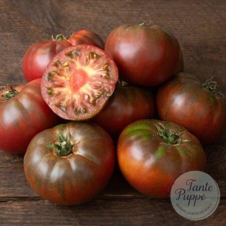 Tomate Black Krim
