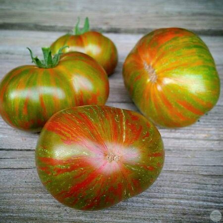 Tomate Doble luz