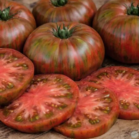 Tomate Fred's Tie Dye