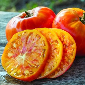 Tomate Hawaiian Pineapple