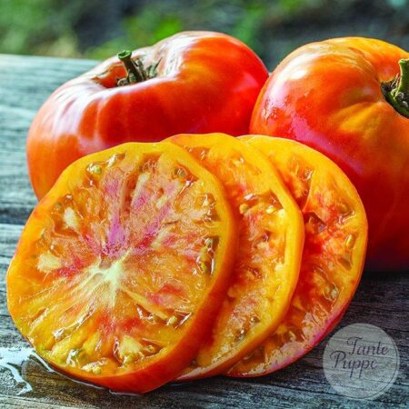 Tomate Hawaiian Pineapple