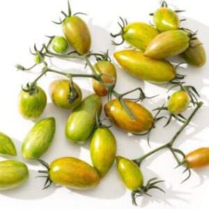 Tomate Green Tiger