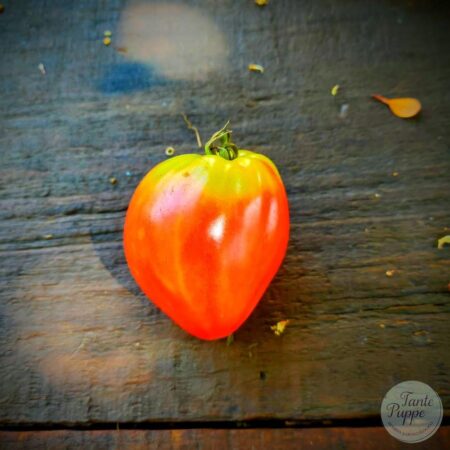 Tomate Corazón de buey