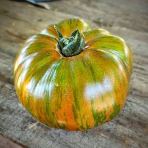 Tomate Fred's Tie Dye
