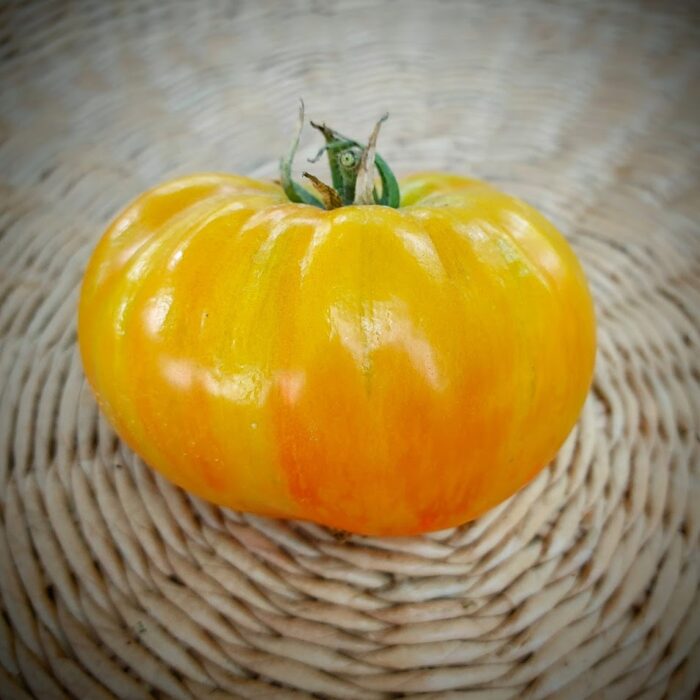 tomate Hawaiian pineaple