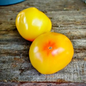 Tomate Hillbilly