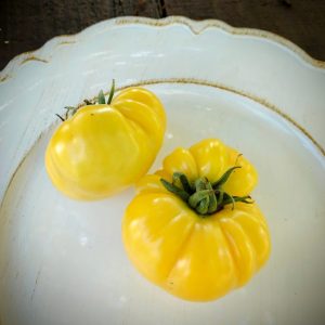 Tomate Marvel Striped