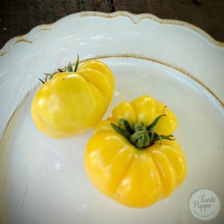 Tomate Marvel Striped