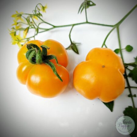 Tomate Mini limachino naranjo
