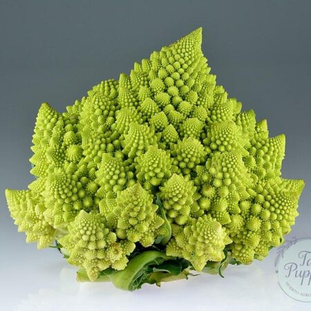 Semillas de Brócoli Romanesco orgánicas Huerto Tante Puppe