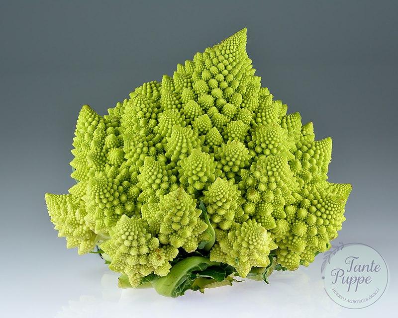 Semillas de Brócoli Romanesco orgánicas Huerto Tante Puppe