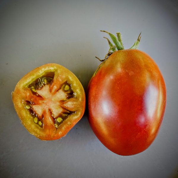 Tomate Ruso morado