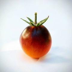 Tomate Blue Berries