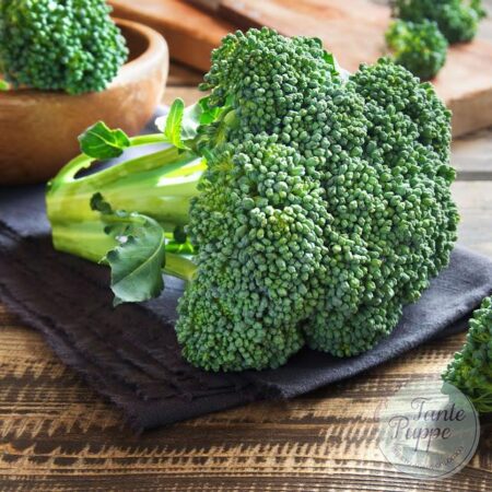 Brócoli Verde