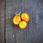Tomate cherry naranjo