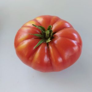 Tomate Costoluto Fiorentino