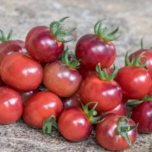 Tomate Glossy Rose Blue