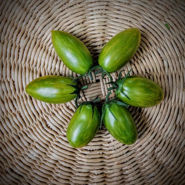 Tomate Green Tiger