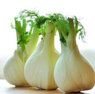 Semillas hino de papa Cultivo de Semillas de Hinojo de Papa en Huerto Tante Puppe