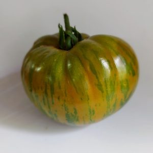 Tomate Kozula