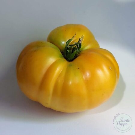Tomate Limachino amarillo