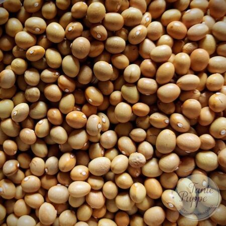 Semillas de Poroto Manteca