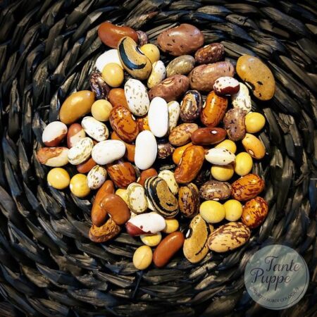 Poroto mix variedades