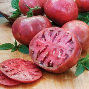 Tomate Purple Cherokee