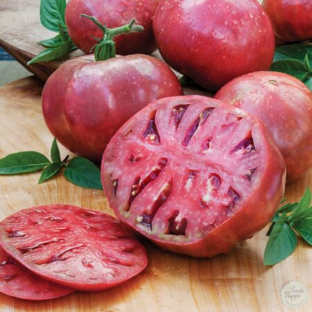 Tomate Purple Cherokee