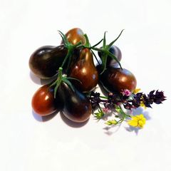 Tomate Teclas negras