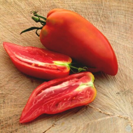 Tomate Cornudo de los Andes
