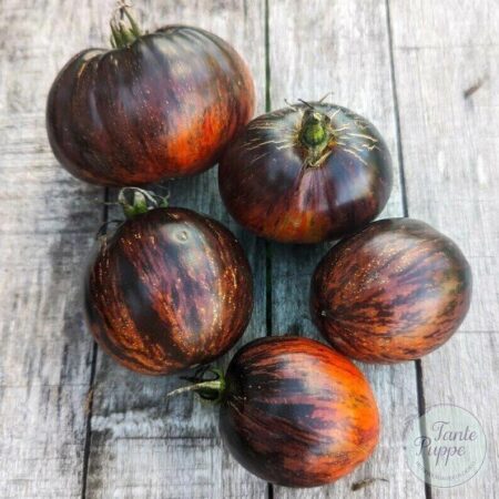 Tomate Gárgamel