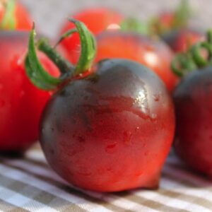 Tomate Jolie Coeur