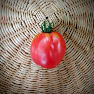 Tomate Belleza latina