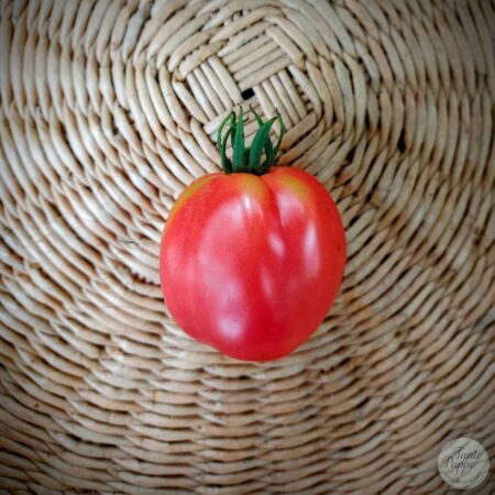 Tomate Belleza latina