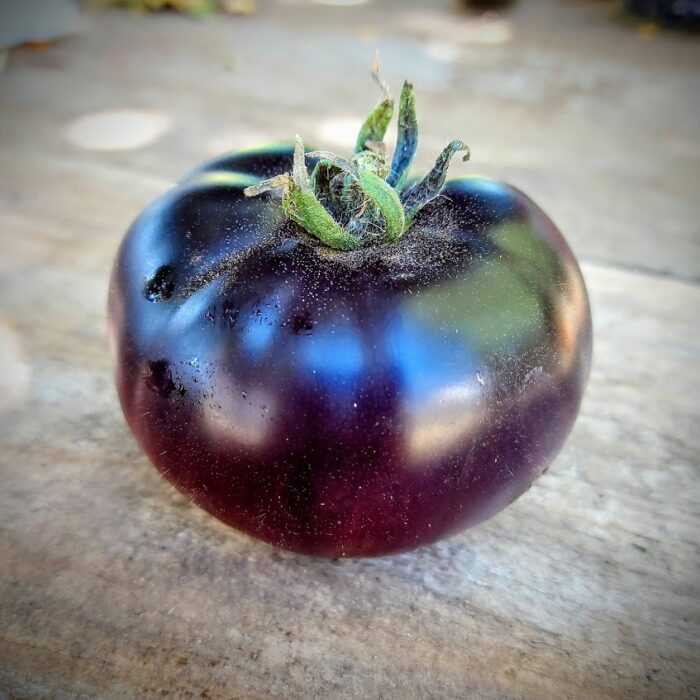 Tomate Black beauty