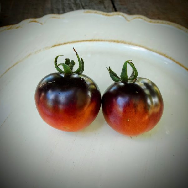 Tomate Blue Sky
