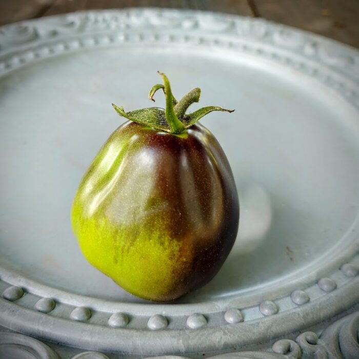 tomate Flanders contrast