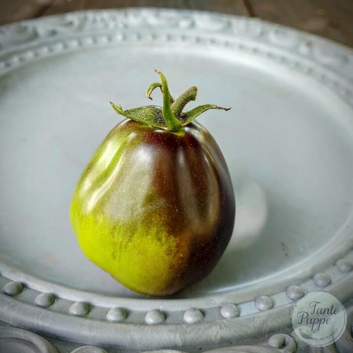 tomate Flanders contrast tomate Flanders contrast