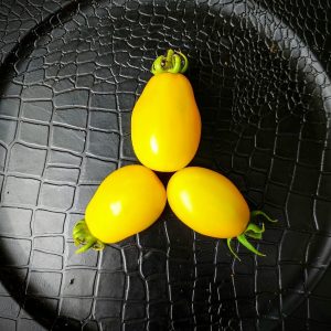 Tomate Roma amarillo