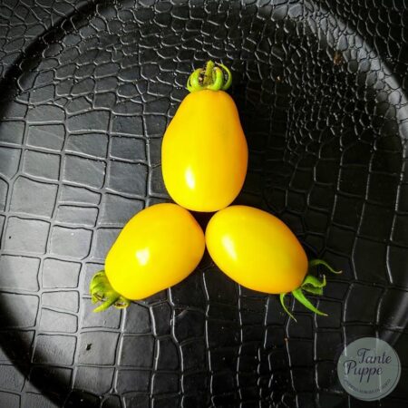 Tomate Roman amarillo