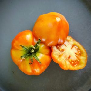 Tomate Rosso Siciliano