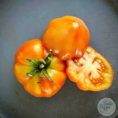 Tomate Rosso Siciliano