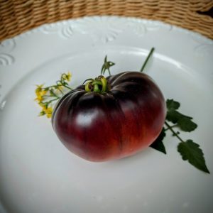Tomate Siberian Tiger