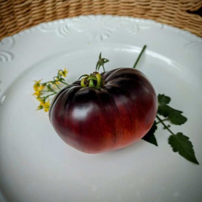 Siberian Tiger _2 Siberian Tiger _2