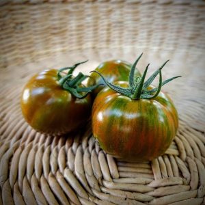 Tomate Spike