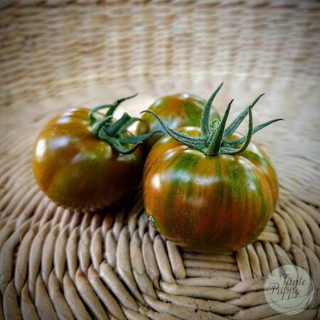 Tomate Spike