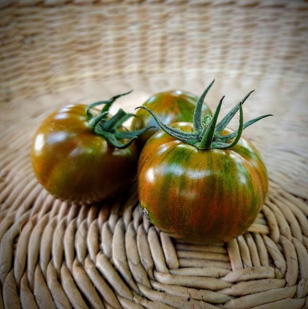 Tomate Spike