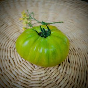 Tomate Verde lima