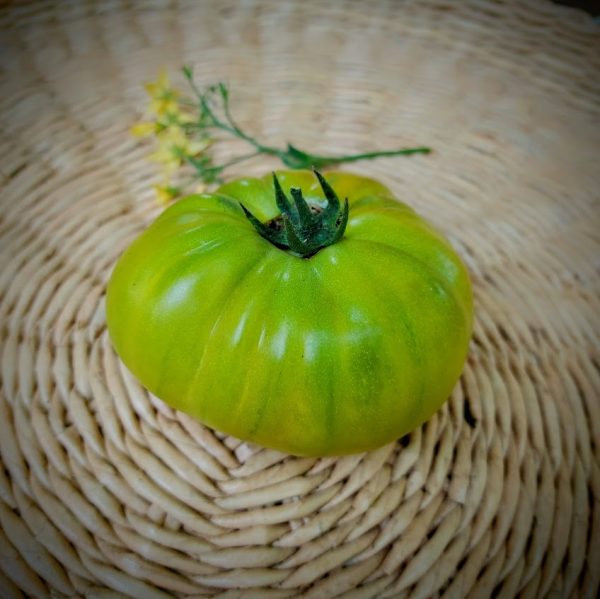 Tomate Verde lima